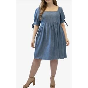 NWT Marée Pour Toi Tie Sleeve Denim Babydoll Dress